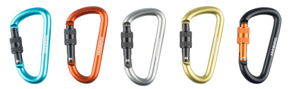 Karabiner D-Form Schraubverschluss 