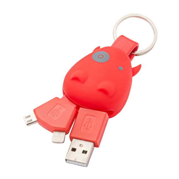 Acecamp KEYRING SMART CHARGER + TYPE C