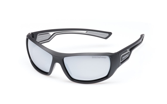 Sunglasses CARVE 