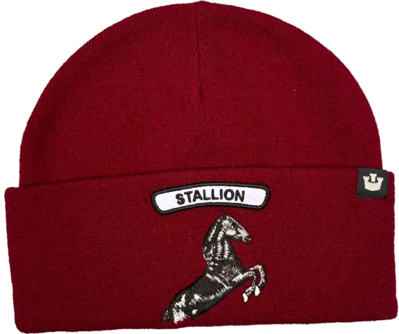 Soft Rock Stallion 