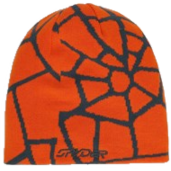 REVERSIBLE WEB HAT 