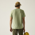 morepic